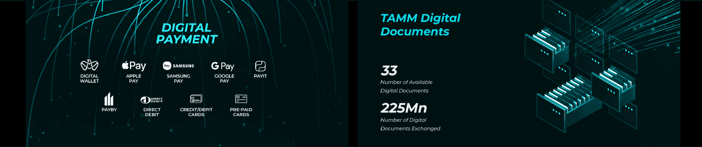TAMM data flow