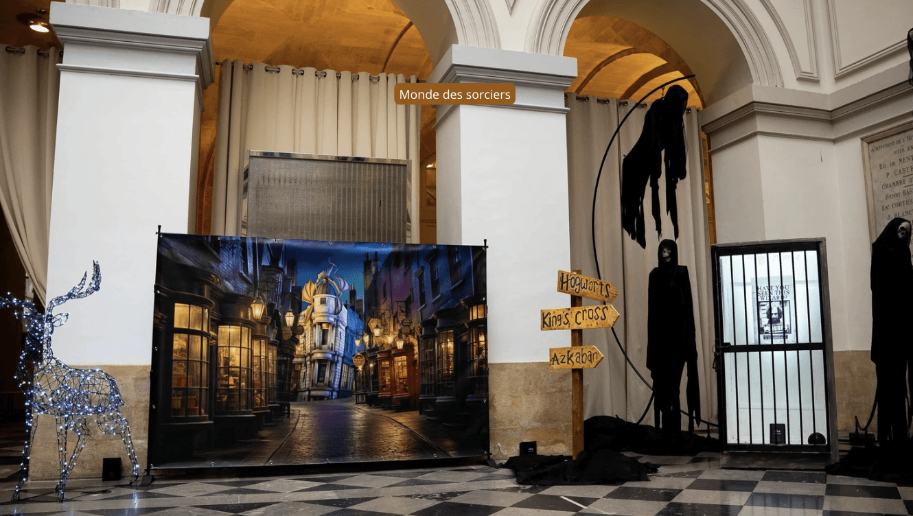 decor-soiree-theme-monde-des-sorciers