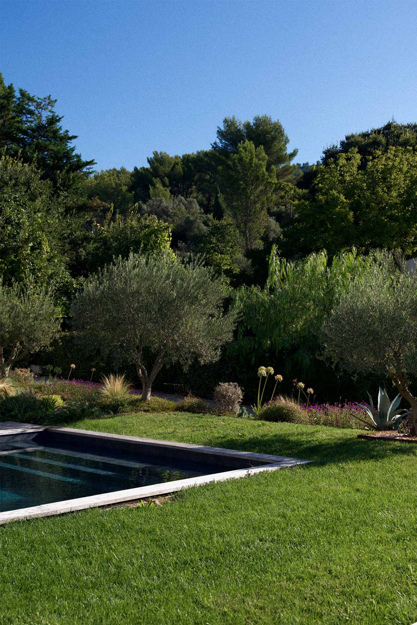 Modern two-story house with white walls and large glass windows, surrounded by lush green bushes and grass under a clear blue sky. Sleek and tranquil.