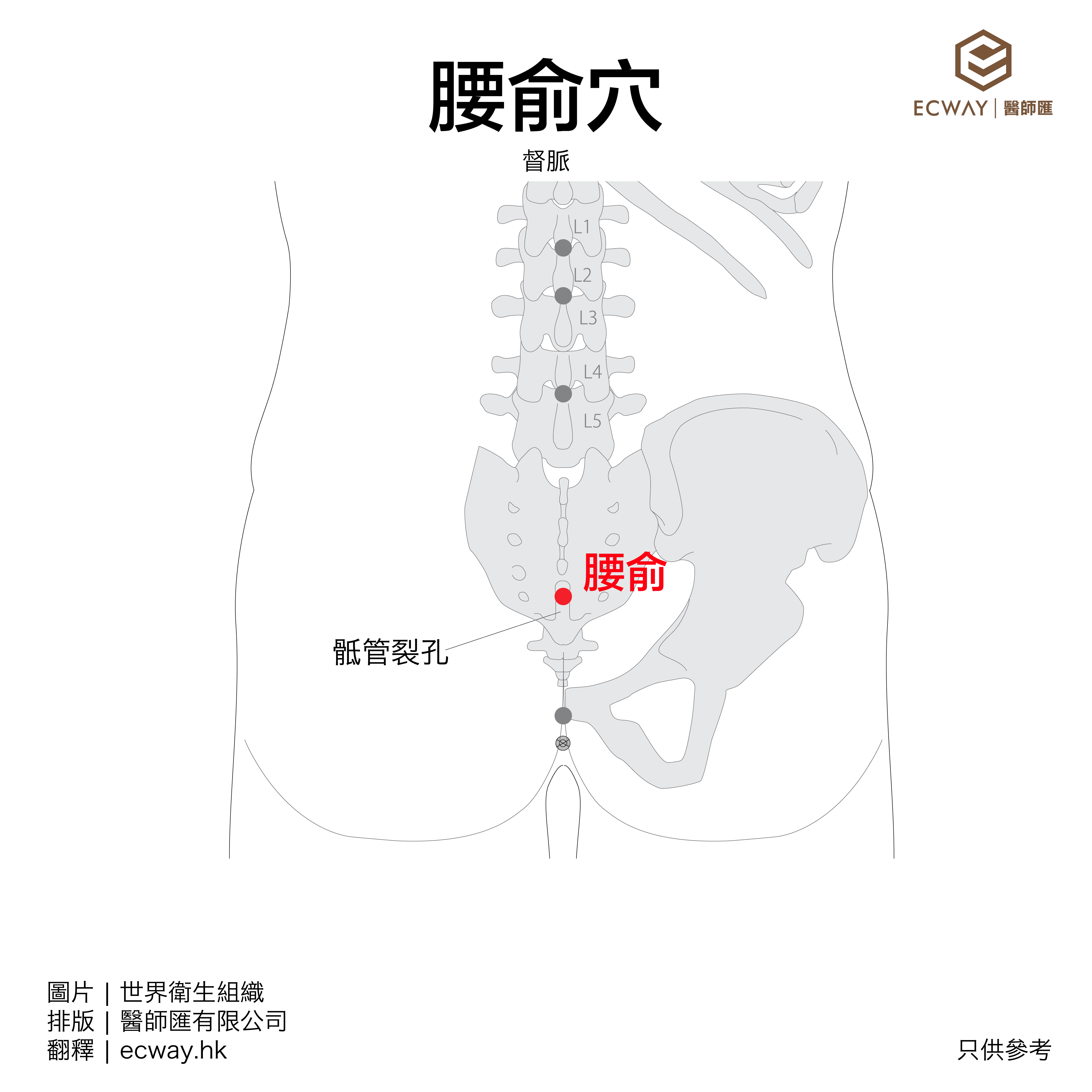 腰俞穴