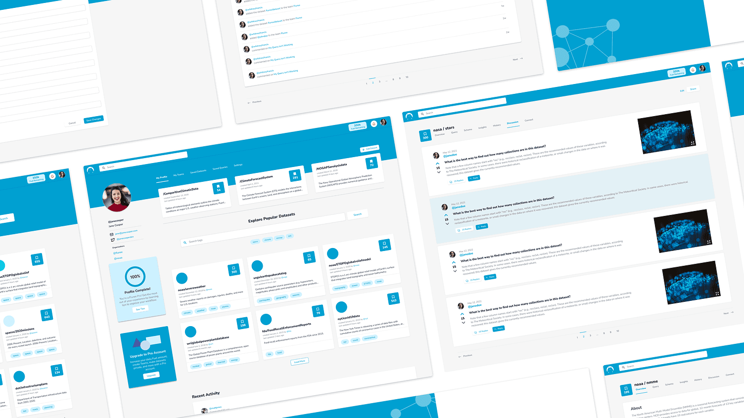 UI screens for the Fluree Nexus web app