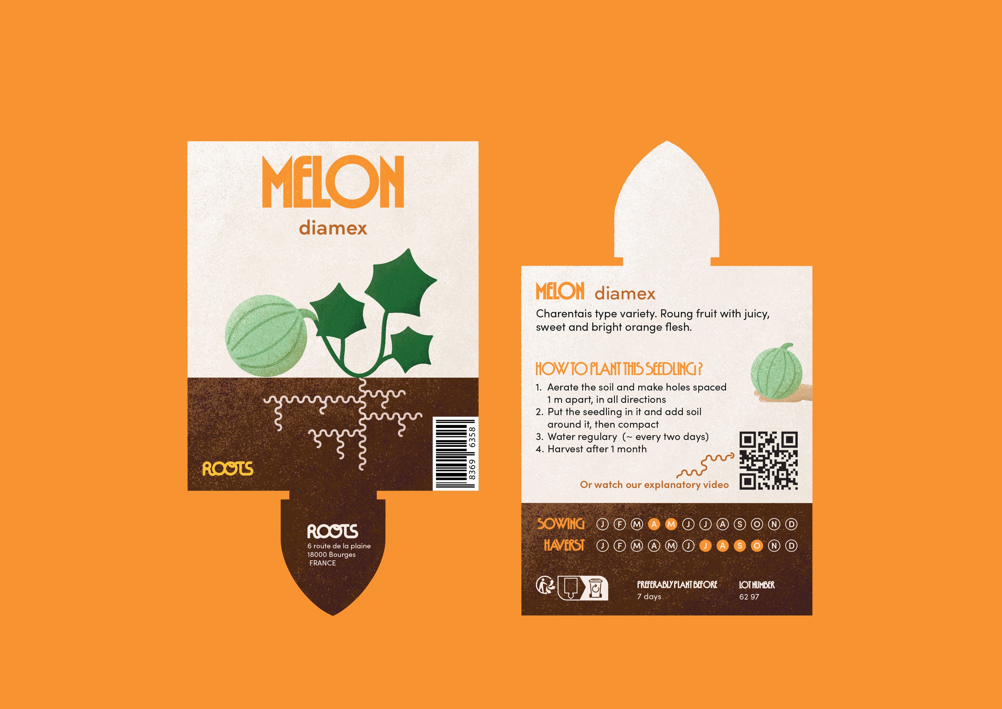 Étiquette plant de melon