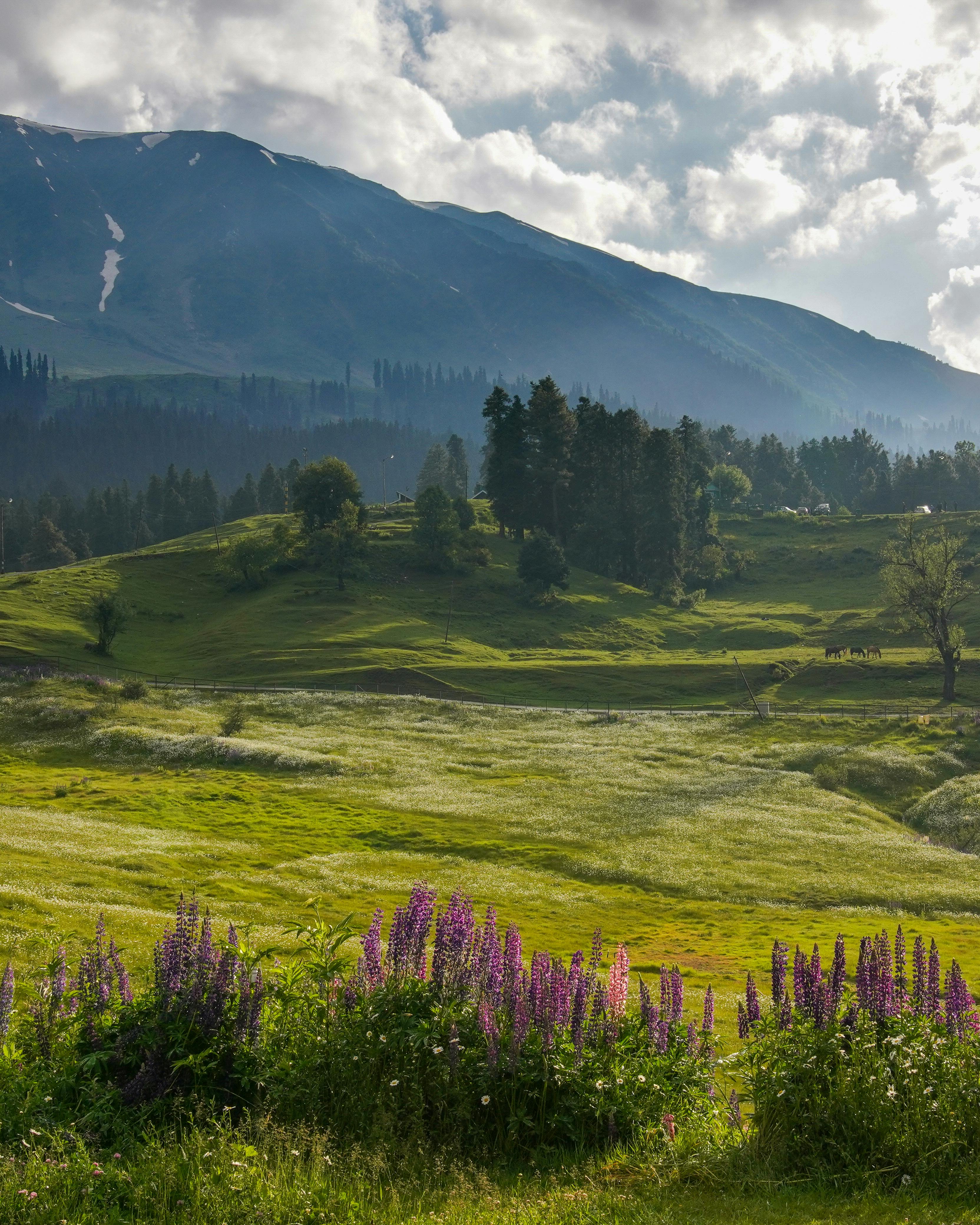 kashmir in summer