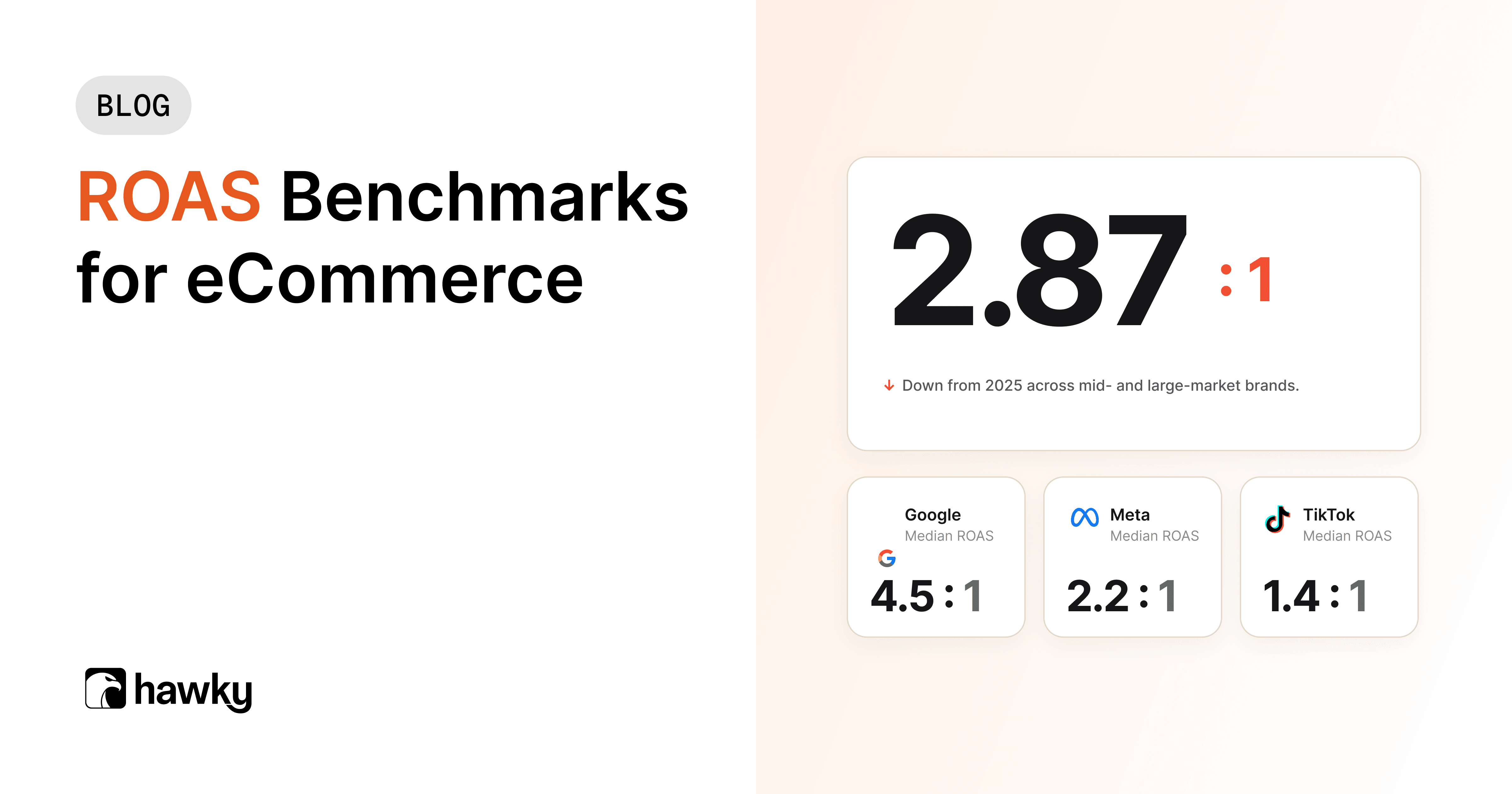 Banner Image of Average ROAS for eCommerce 2026