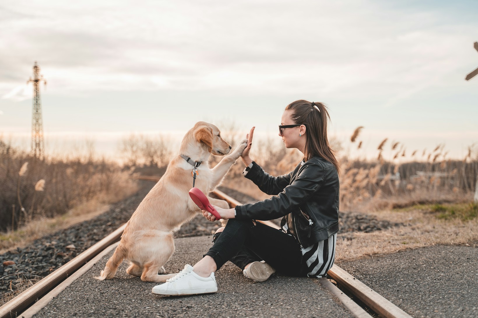 Une personne assise sur un chemin près d’un chien blond