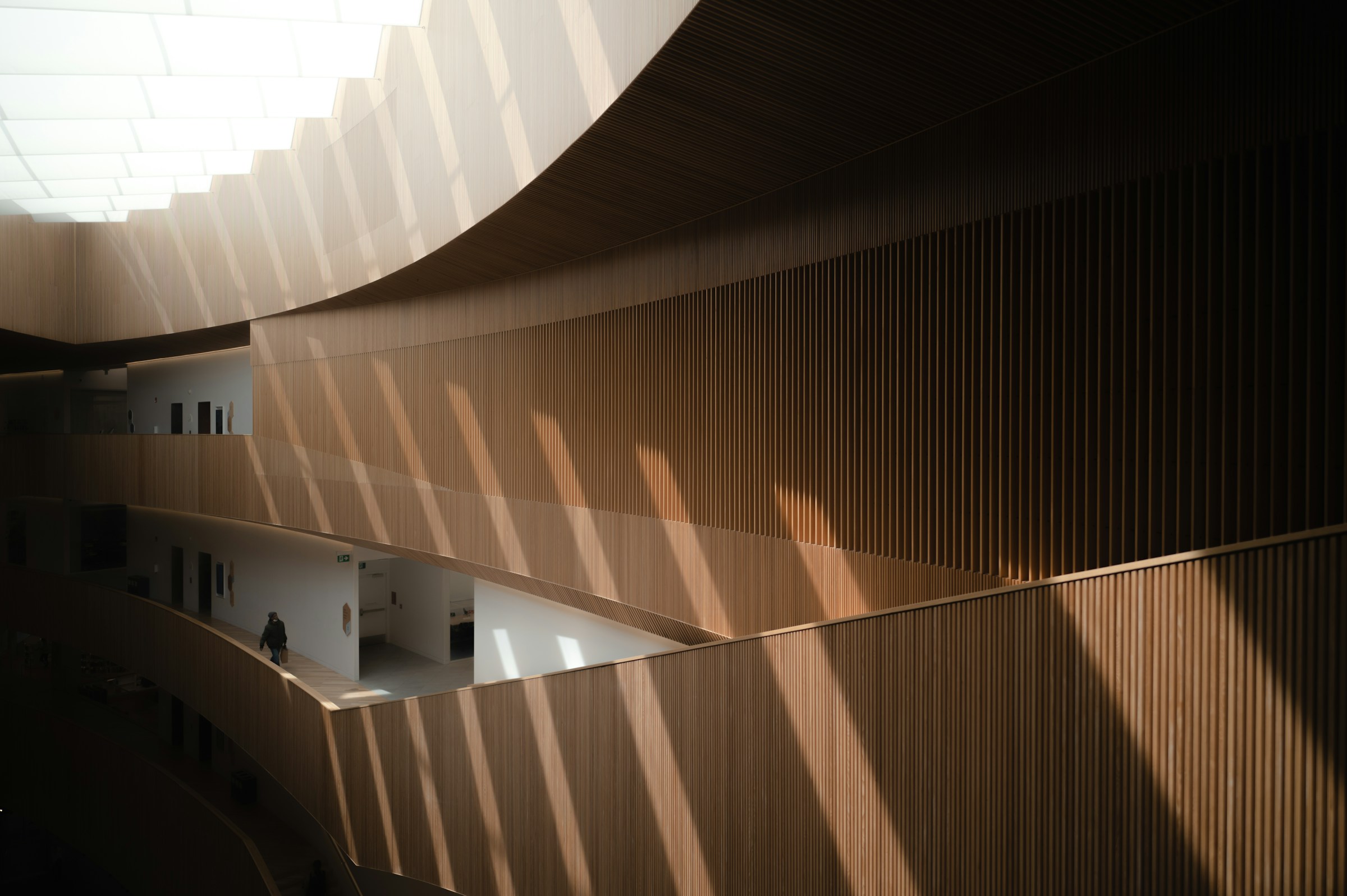 Modern architectural interior with curved, wooden panel walls and natural sunlight streaming through a skylight, casting dramatic shadows across the space.