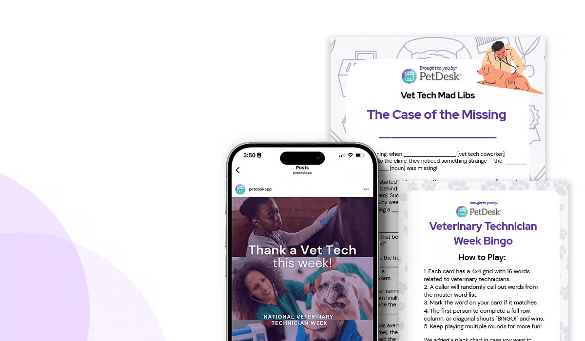 The Ultimate Guide to Spring Cleaning your Veterinary Practice|The Ultimate Guide to Spring Cleaning Your Veterinary Practice eBook