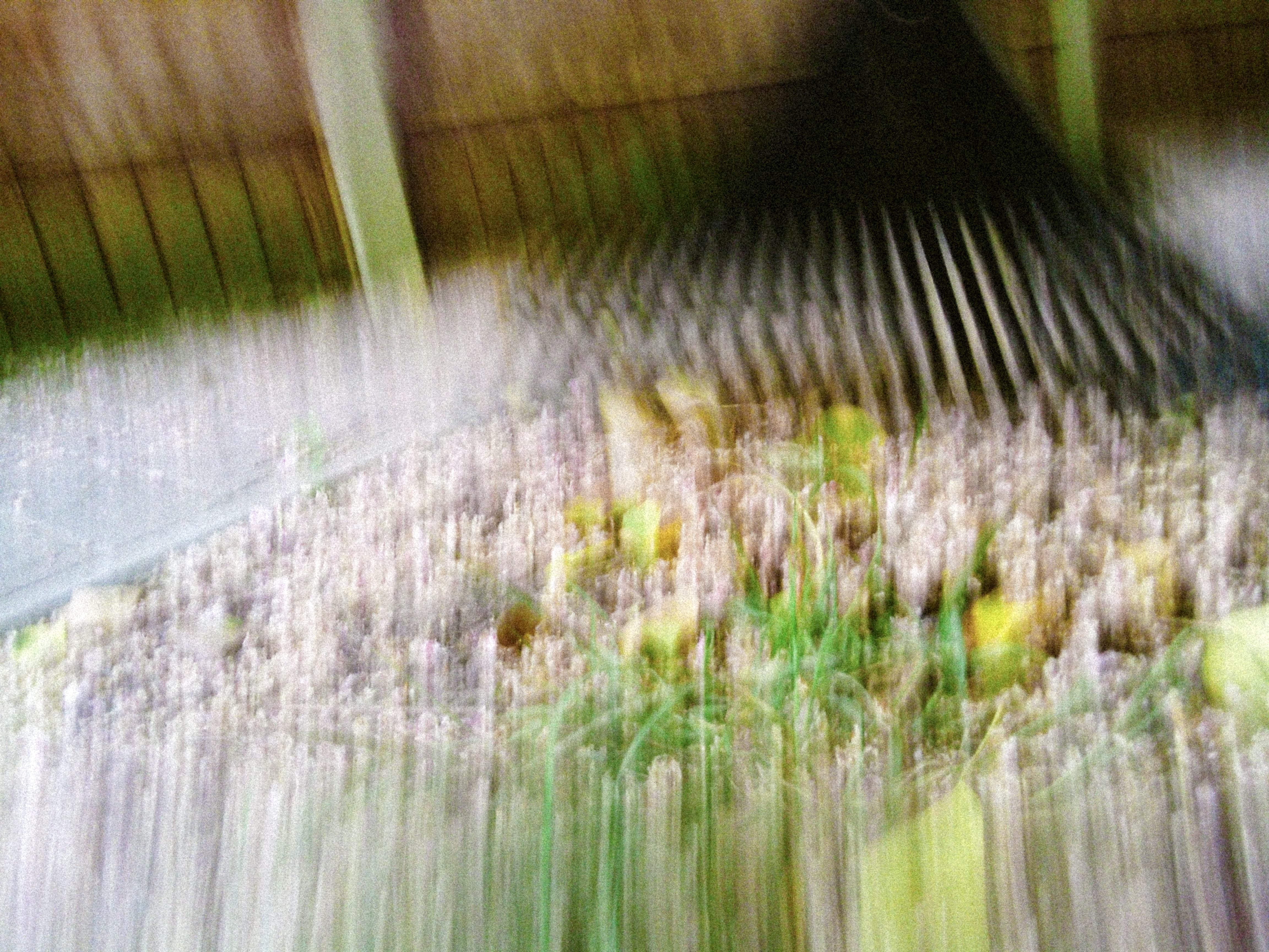 Vertical motion blur fragments dried grasses and foliage into repeating linear patterns