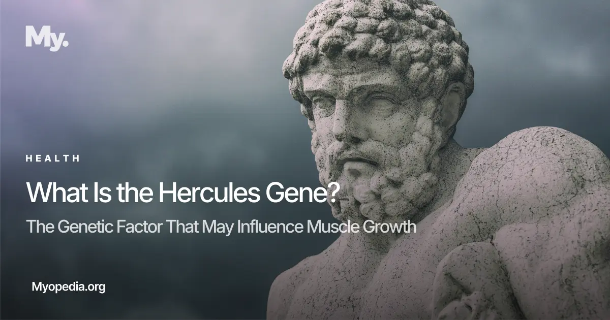 What Is the Hercules Gene? Can It Boost Muscle Growth?