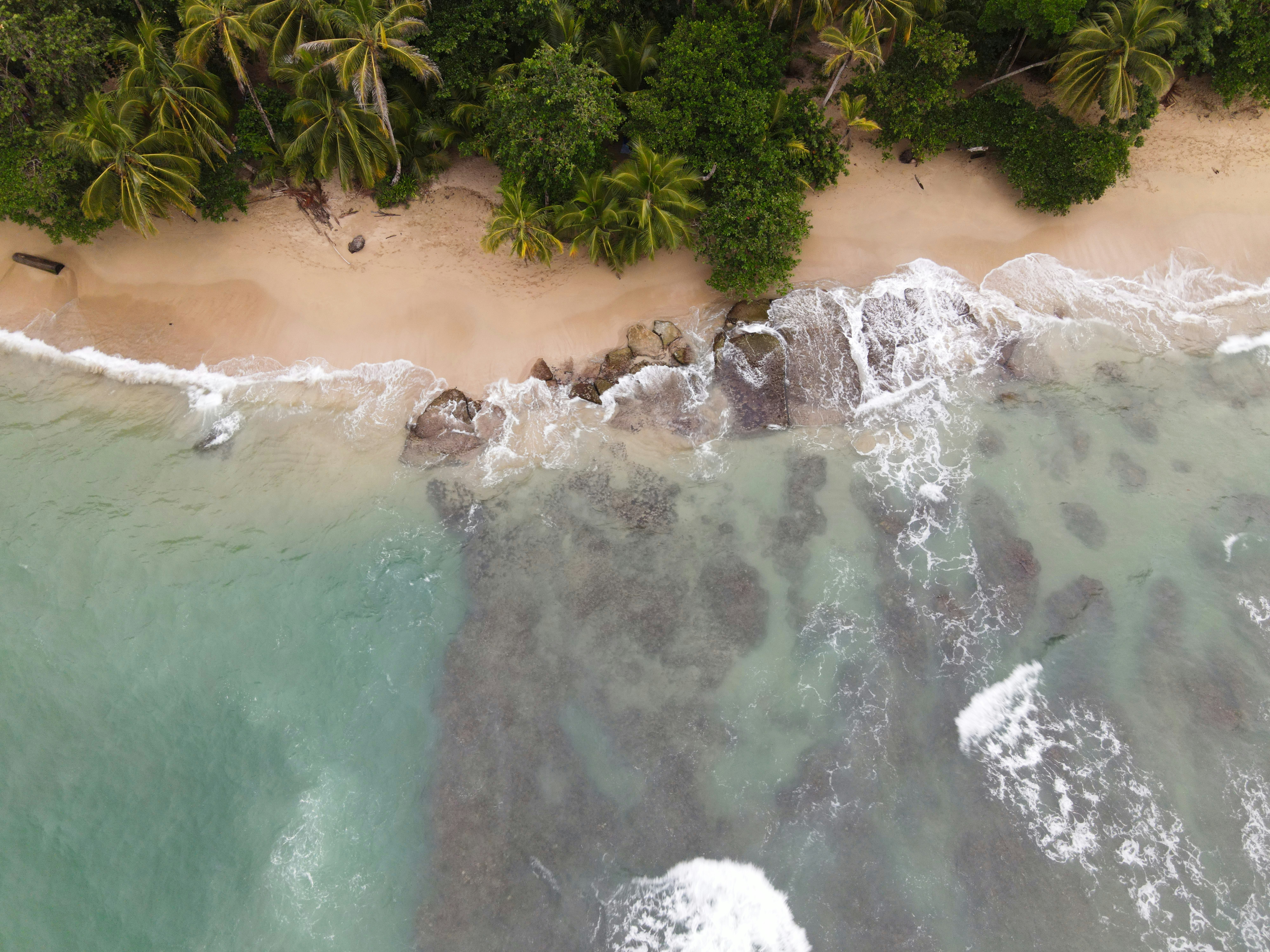 an aerial view of a sandy beach with palm trees
