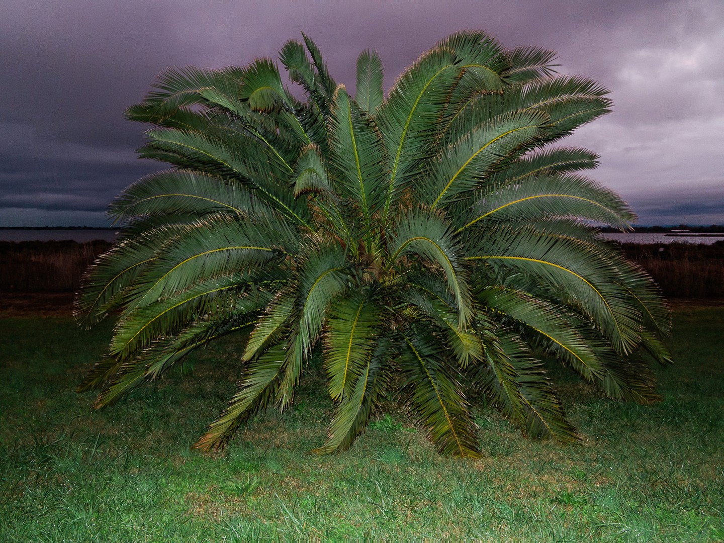 A close-up of a person wearing green-tinted glasses, with a serious expression and smooth skin.