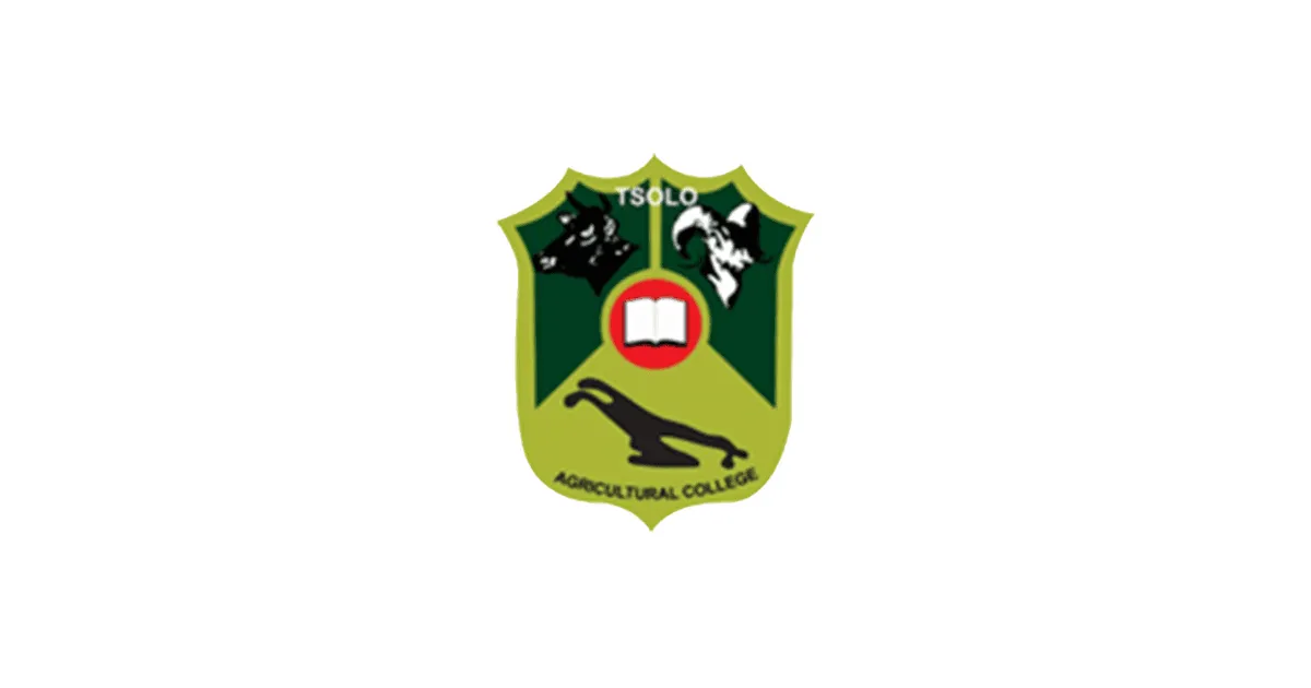 Tardi logo 2026