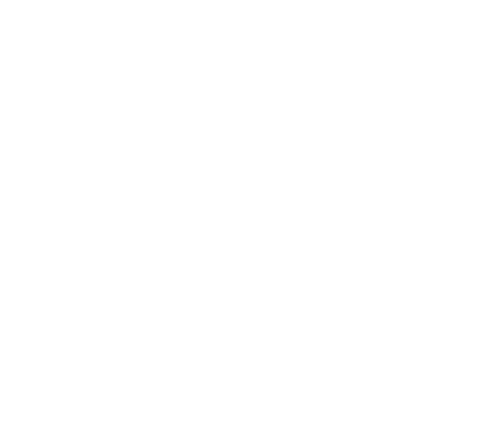 image-asset