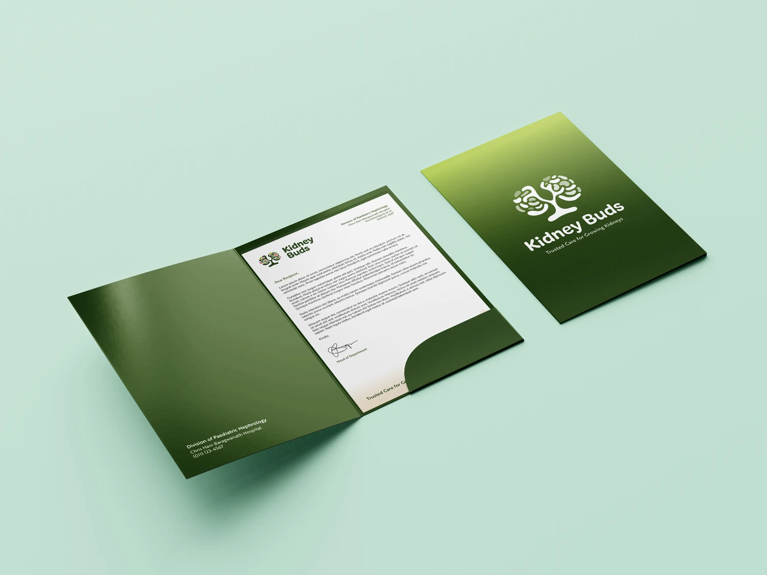 Folder and document scene