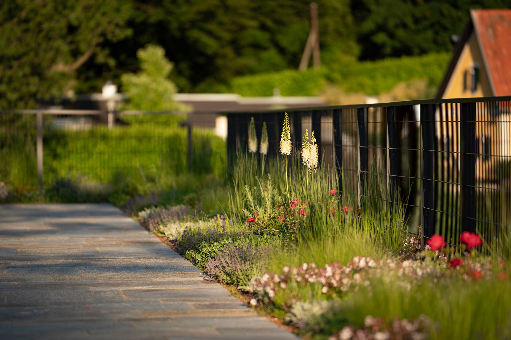 Staudenbeet entlang eines Gartenwegs mit Gräsern und Blütenpflanzen.