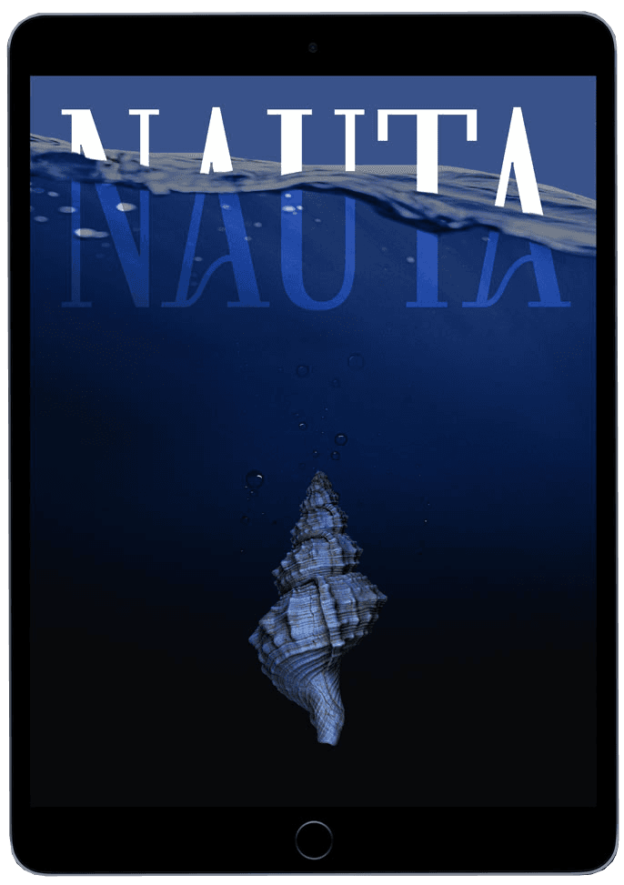 Nauta ocean surf camp branding design