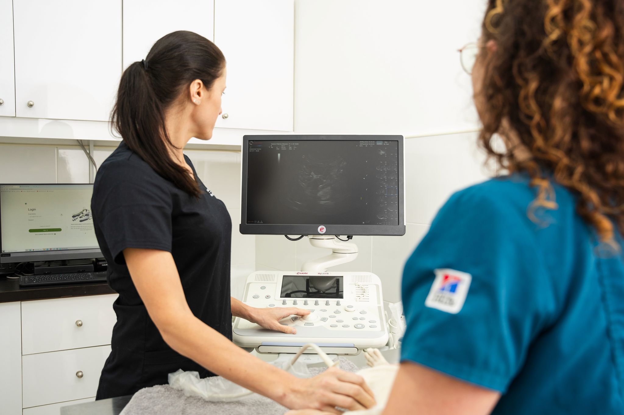 A veterinary professional in black scrubs operates an ultrasound machine, showing an image on the screen, while another person in blue observes.