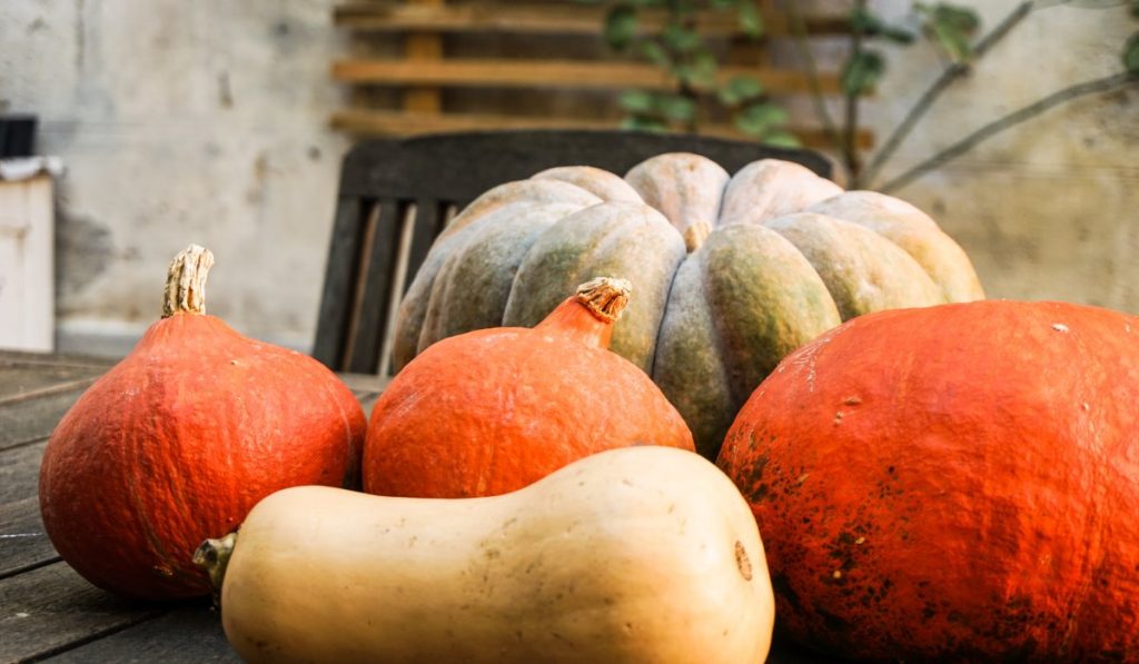 Diverse varietà di zucche