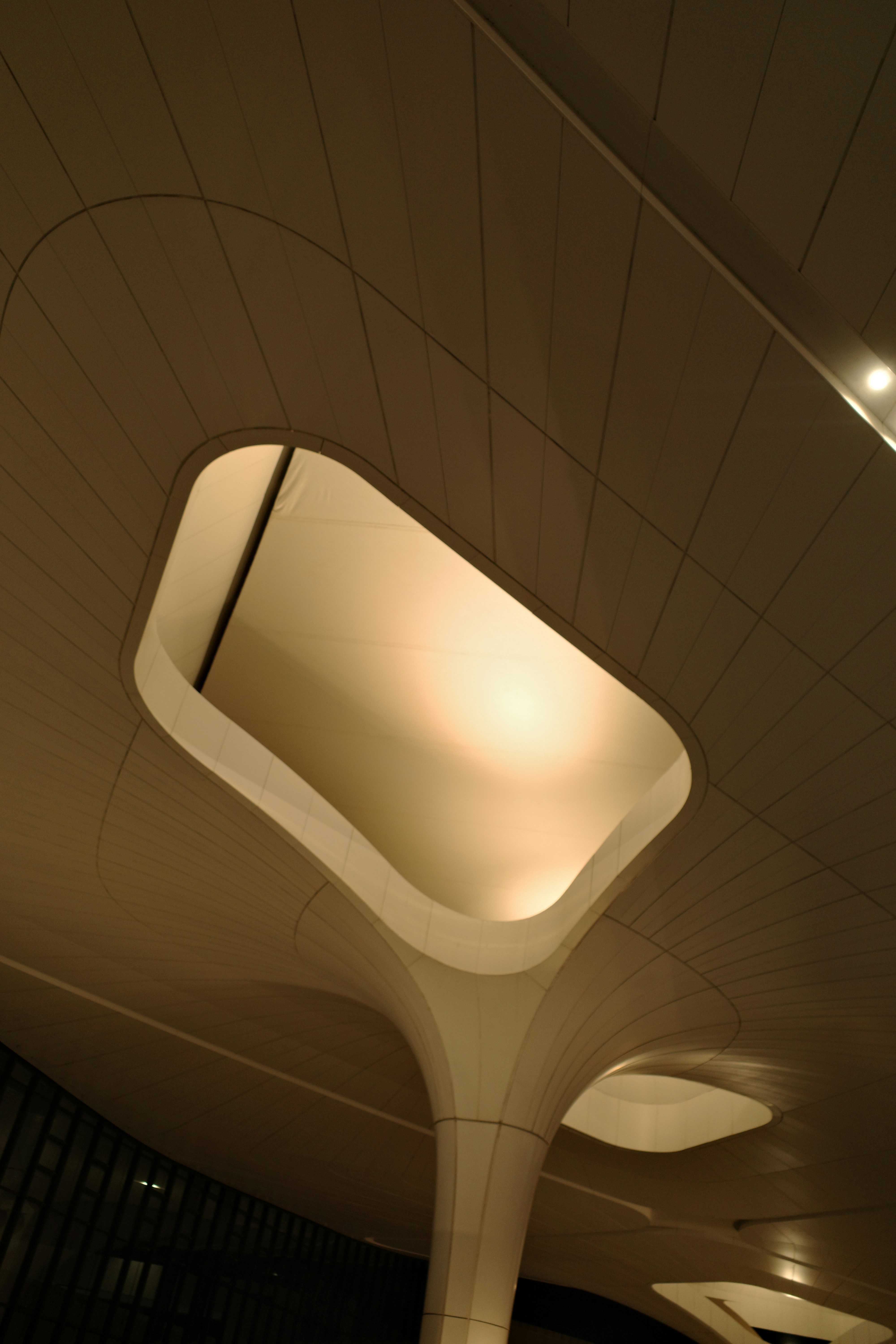 Modern architectural ceiling with soft lighting
