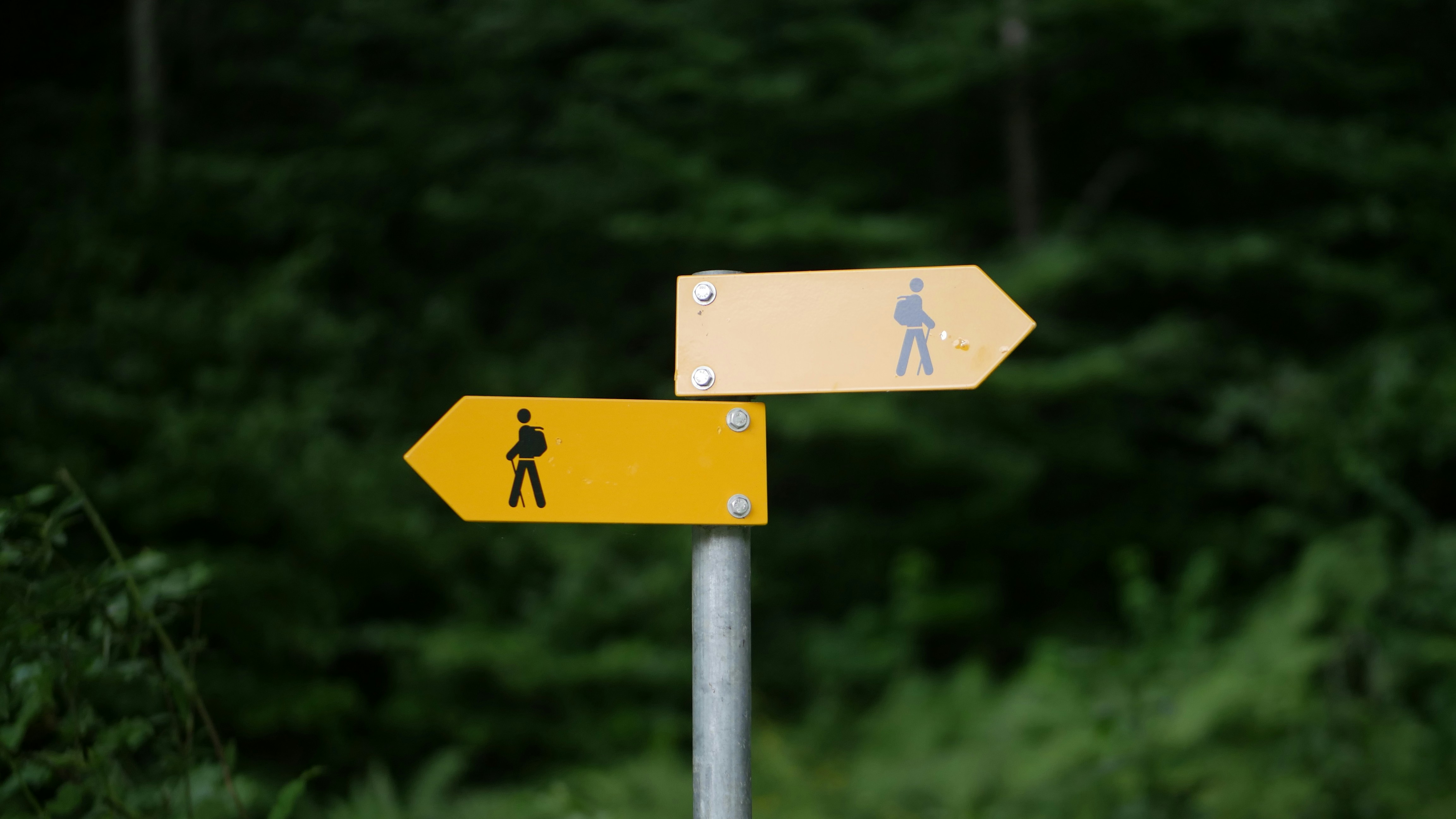 Choosing pathway