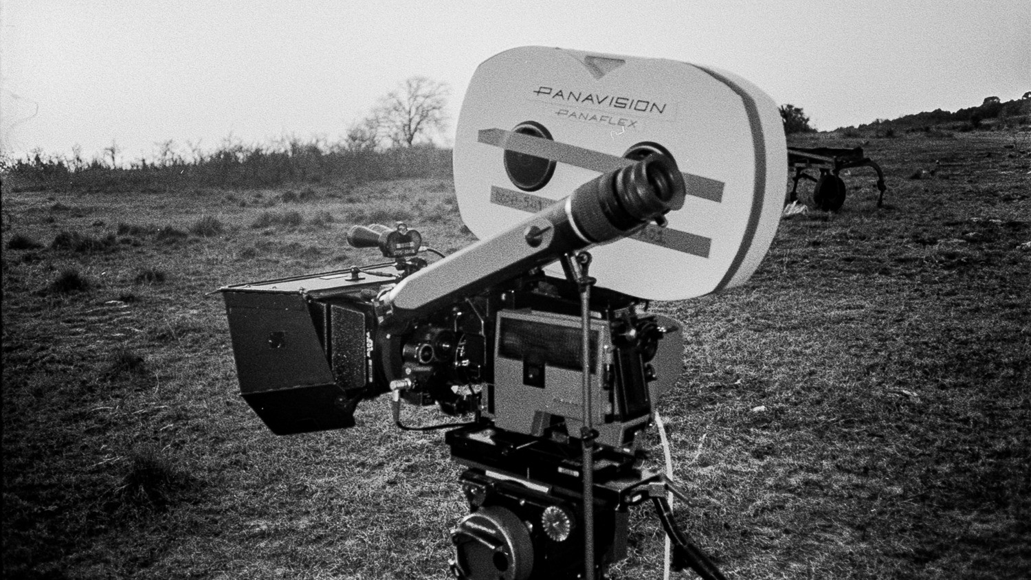 BTS from Southwest Review