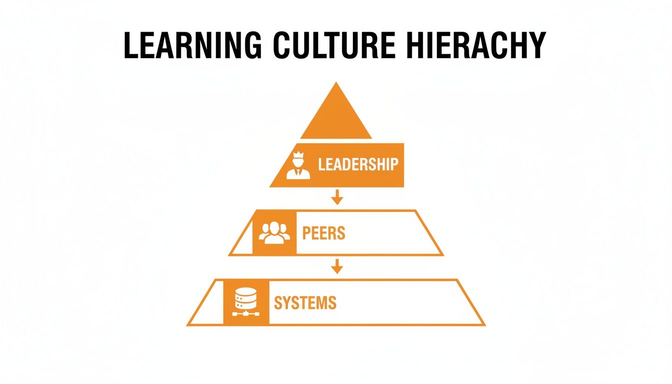 Learning Culture Hierarchy pyramid illustrating Leadership, Peers, and Systems, influencing skill development.