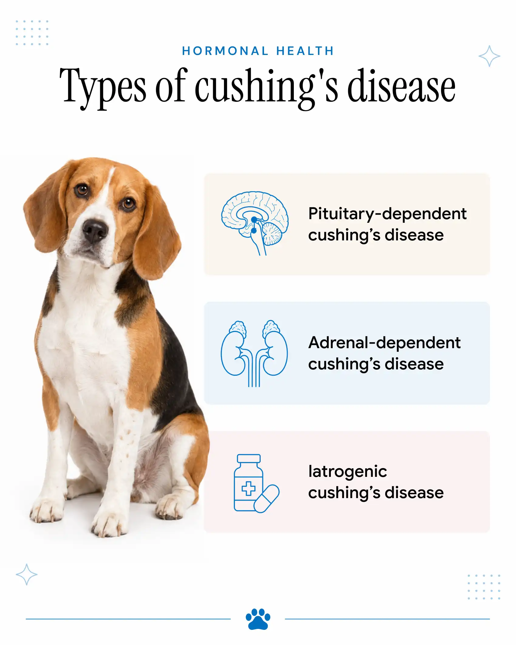 Types of Cushing’s Disease in Dogs