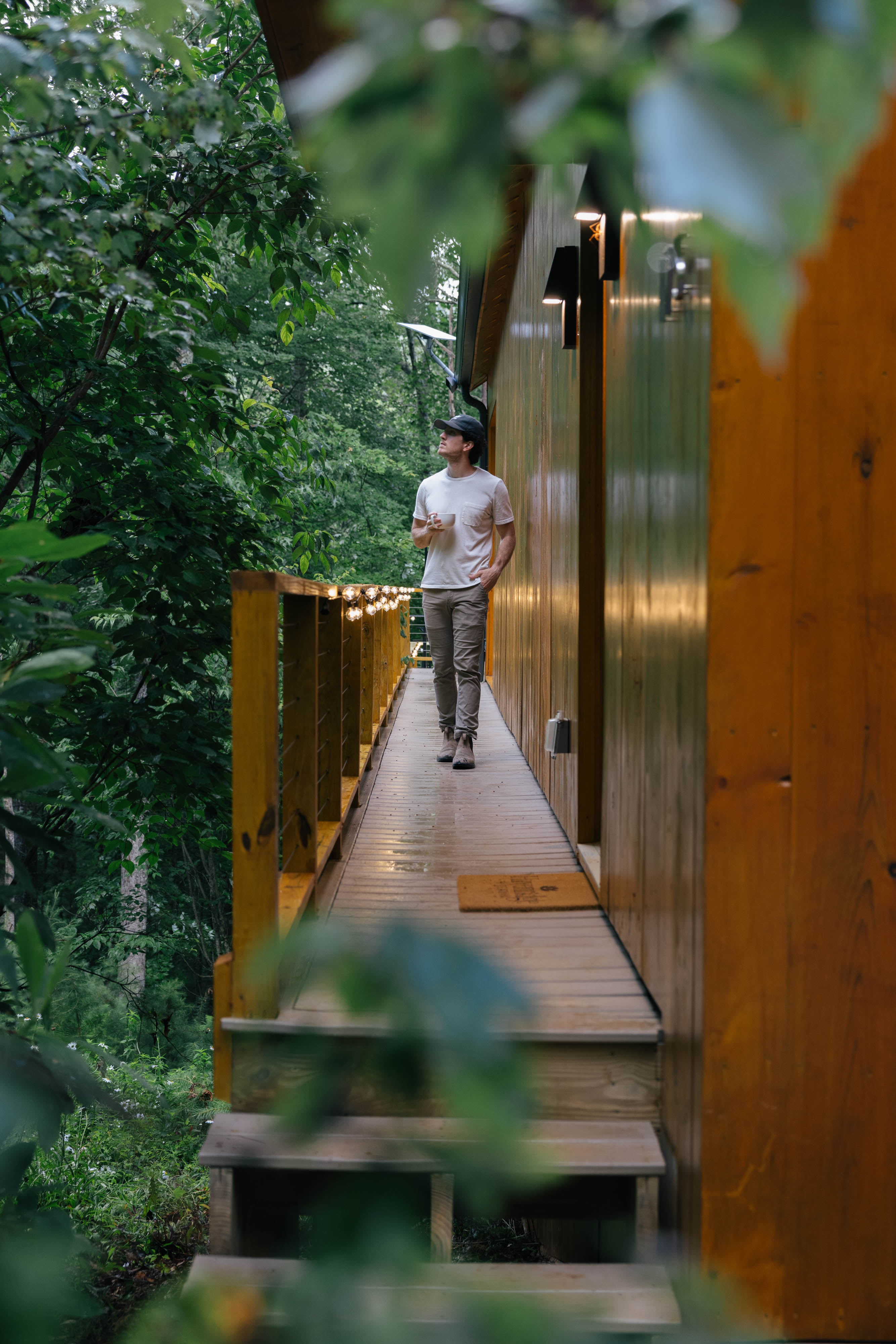 Walking the timber path through the trees