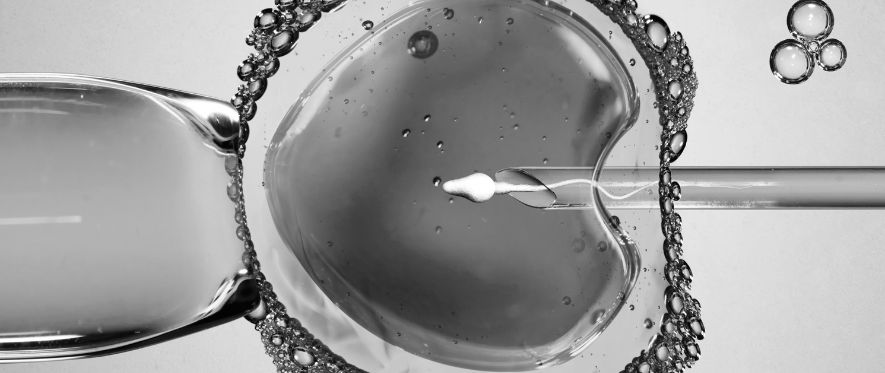 IVF vs. IUI – How to Select the Right Fertility Treatment