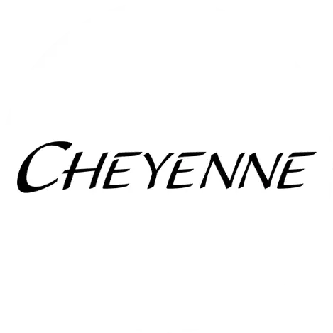 State-of-the-art Cheyenne tattoo technology used for minimal skin trauma and maximum artistic control.