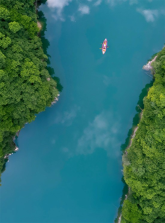 The Earth 