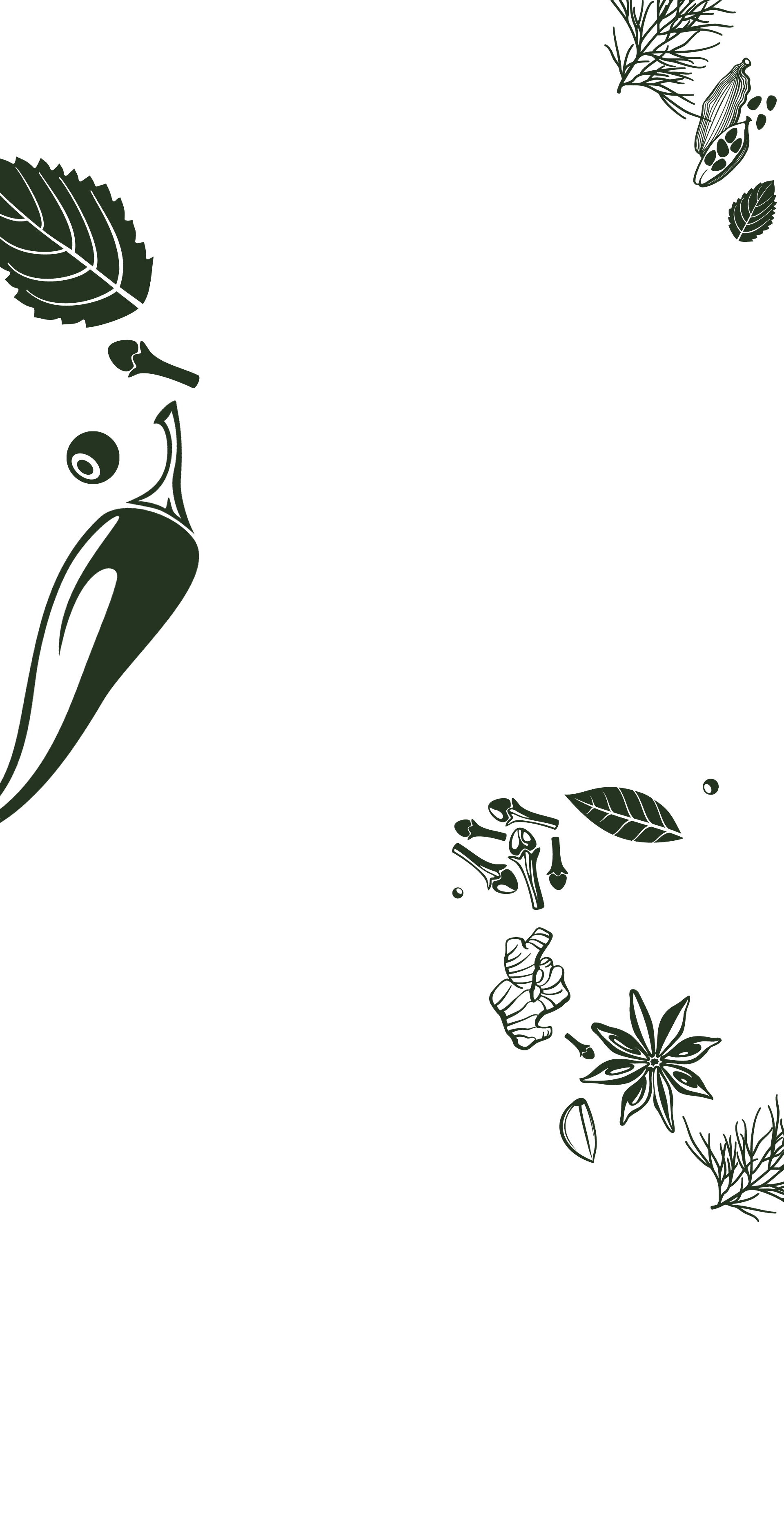 Illustration of Octopus tentacles