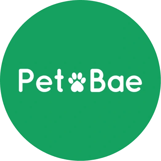 The logo of Pet Bae.