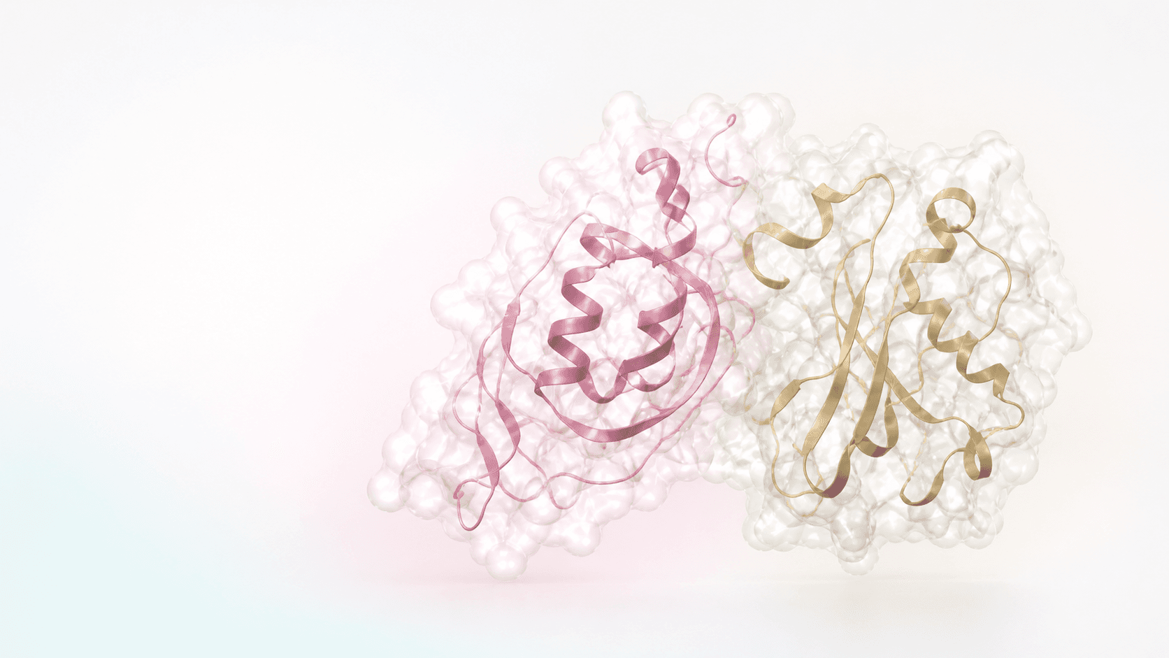 Complex protein structure