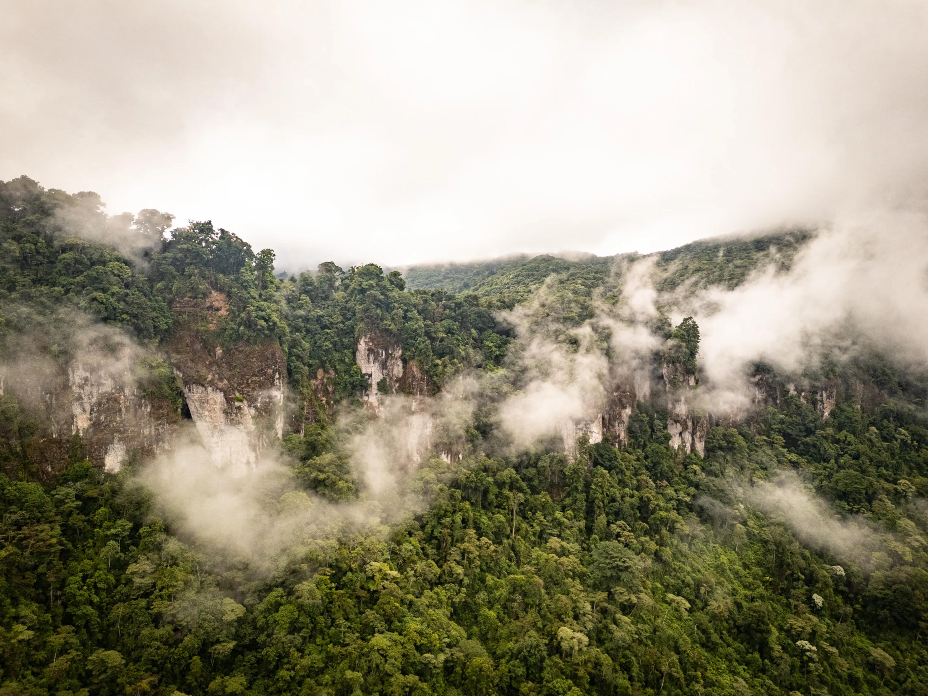 Wilderness & Wildlife 09