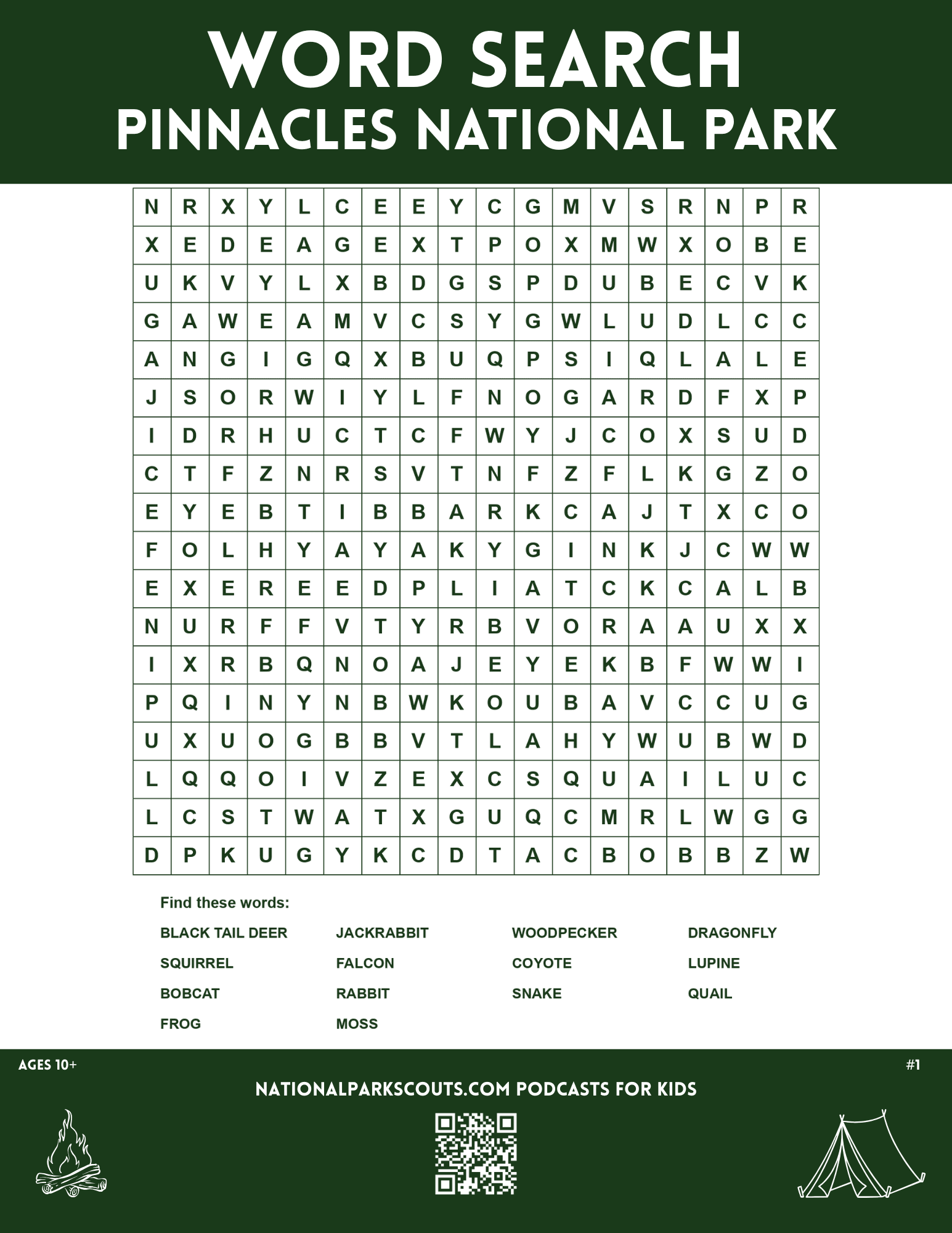 Pinnacles National Park Word Search - Ages 10+
