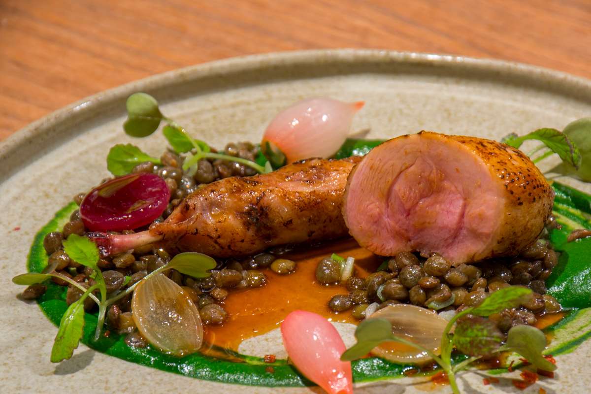 A gourmet plated dish featuring seared meat, a sliced piece of roasted meat with pink interior, lentils, and microgreens.
