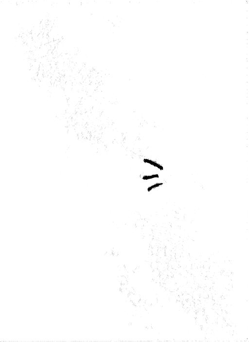 Doodle a mano di Federico De Servi