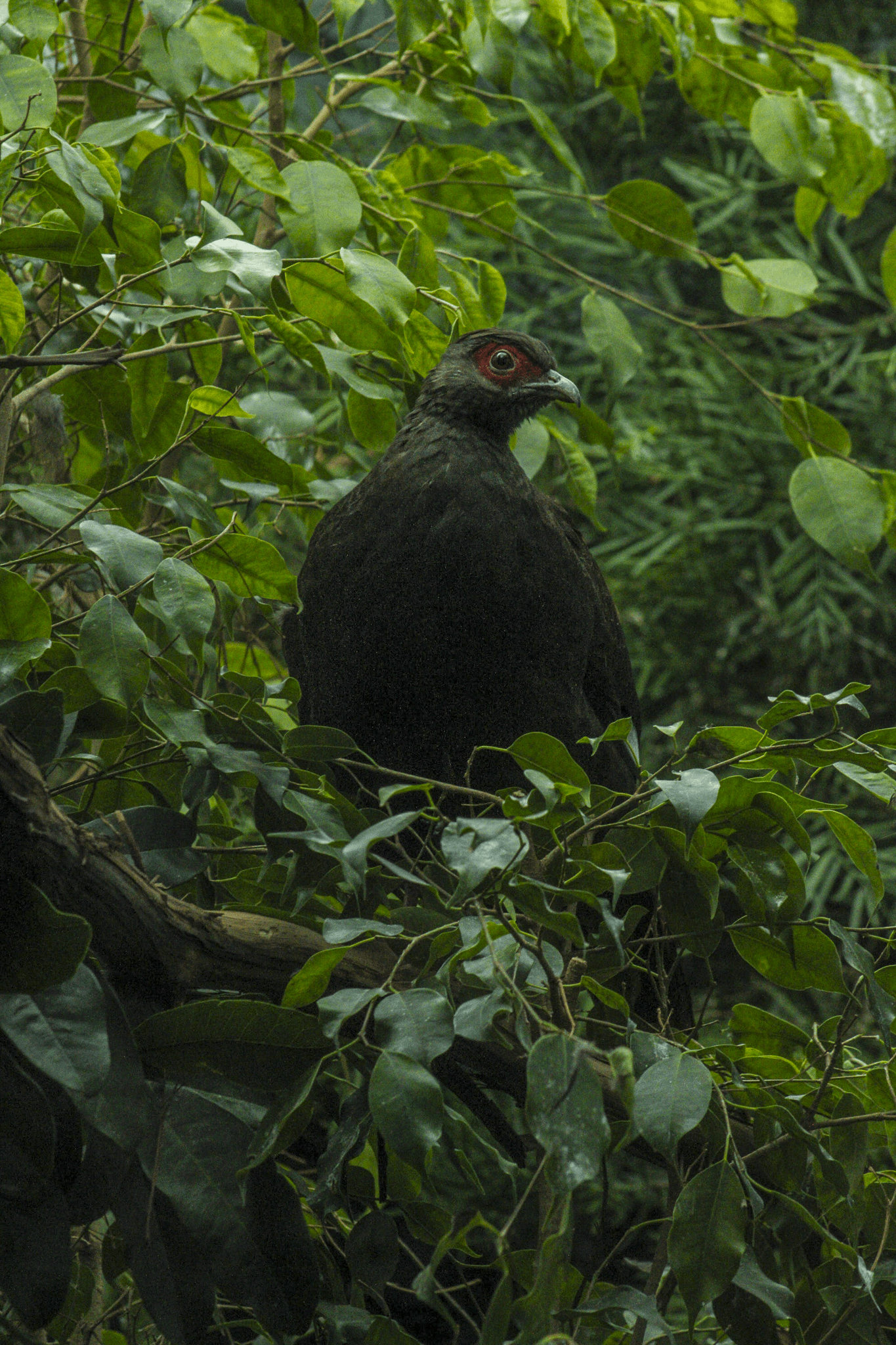 a building with persony windows