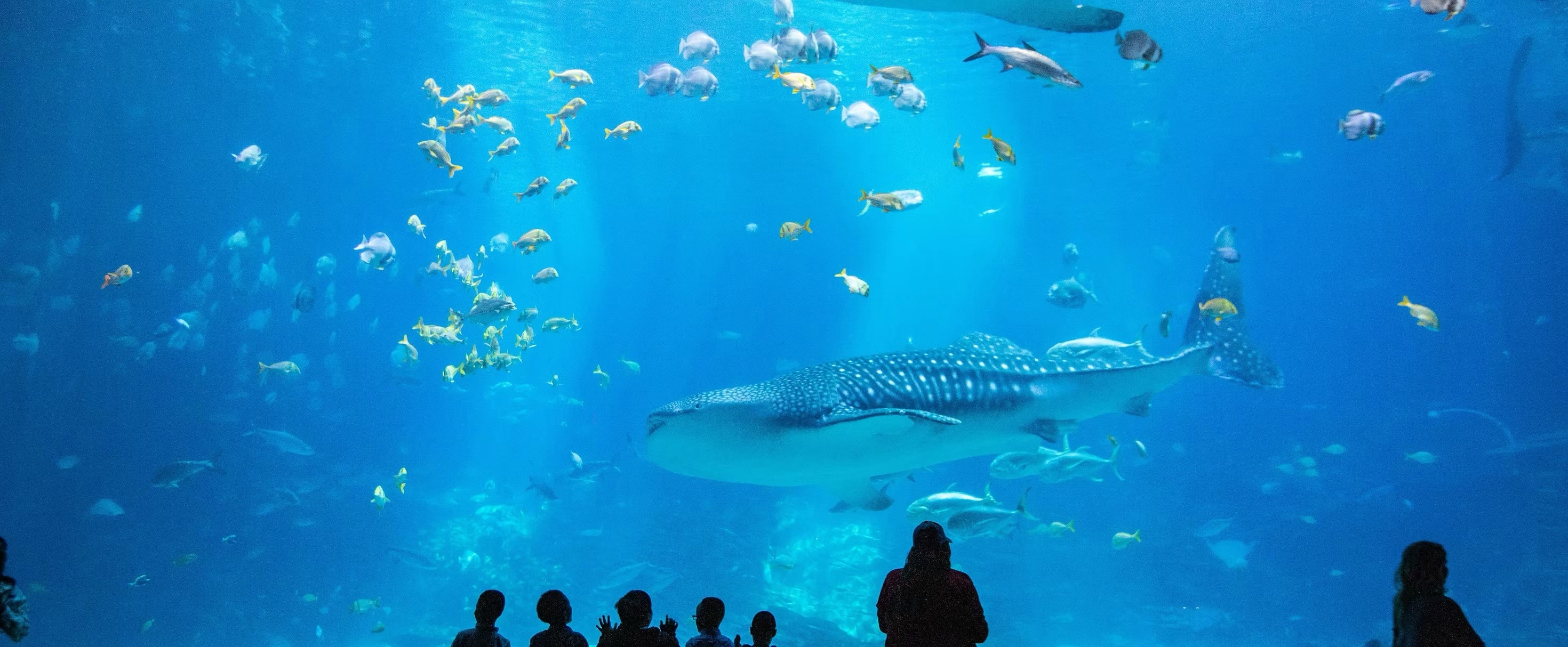 Premium UX Template for Framer