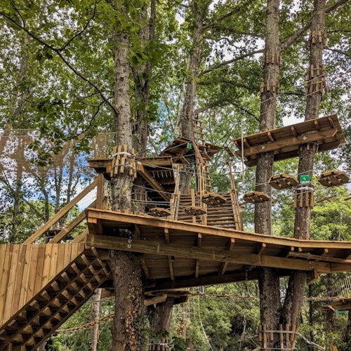 樹屋結構，設有多個平臺和繩索橋，通過樓梯相連，隱身於高大、葉茂的樹木中。