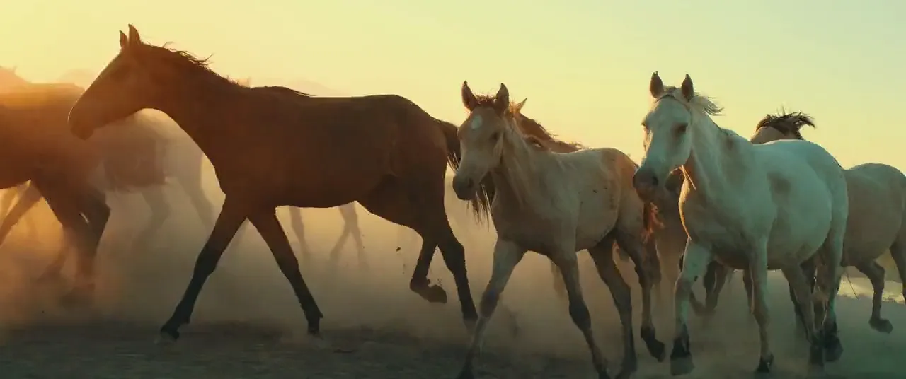 Frame from Dust Season