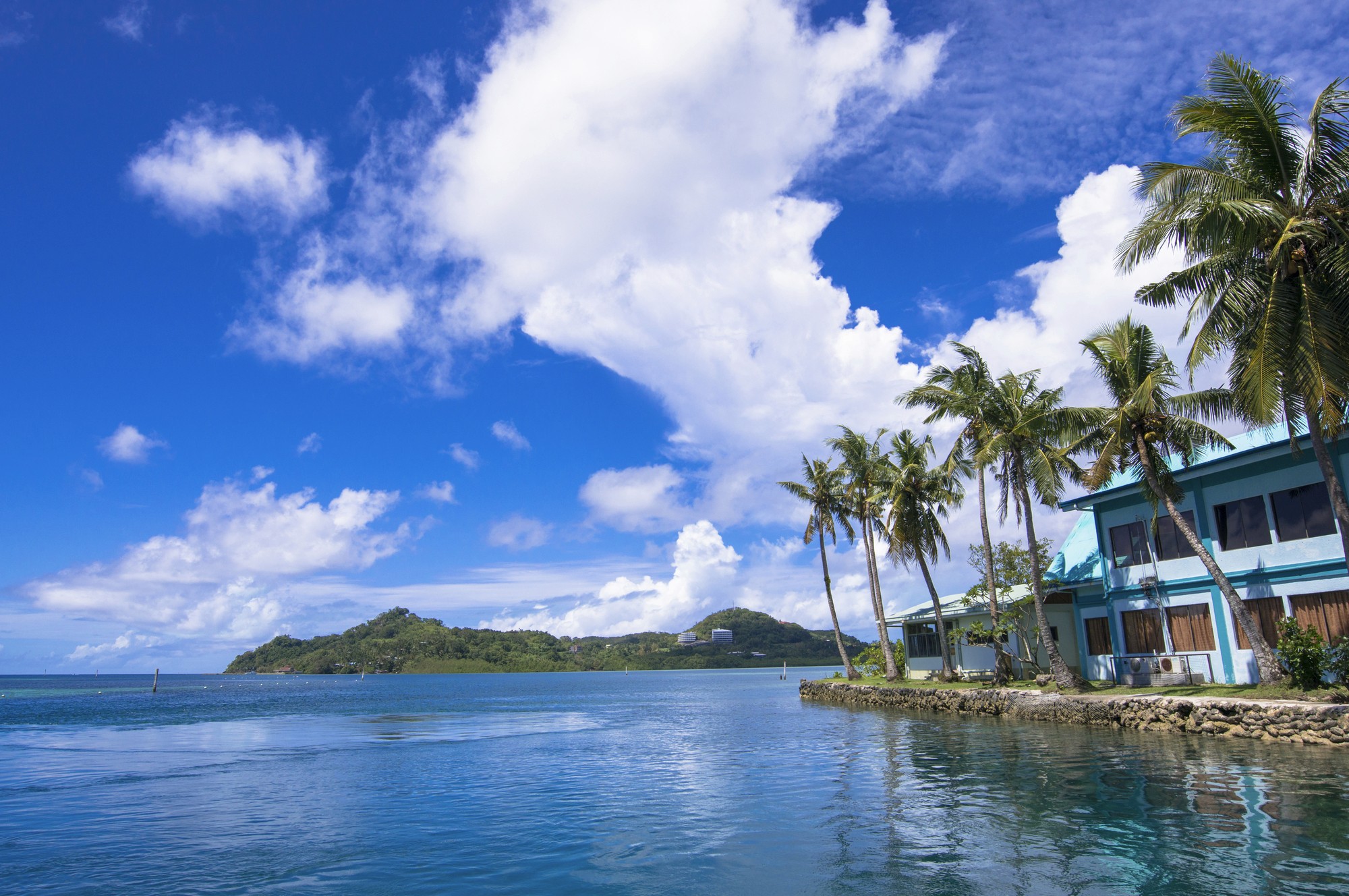 photography of dam during daytime