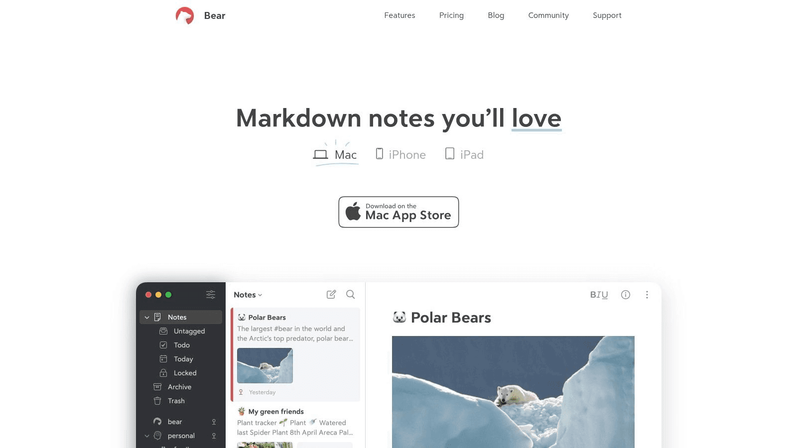 Screenshot of Bear app for Markdown note-taking. 