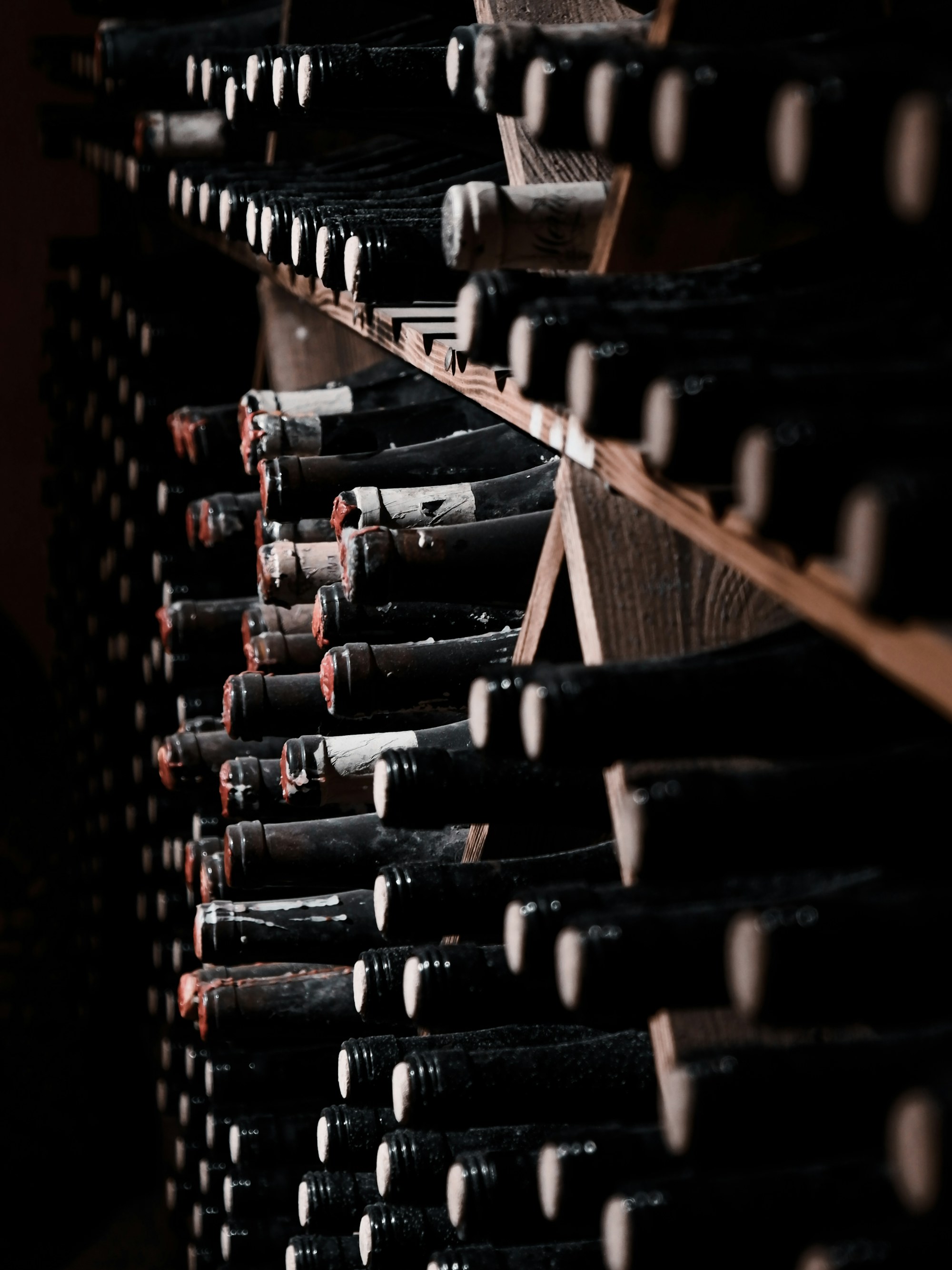 The cellar wall
