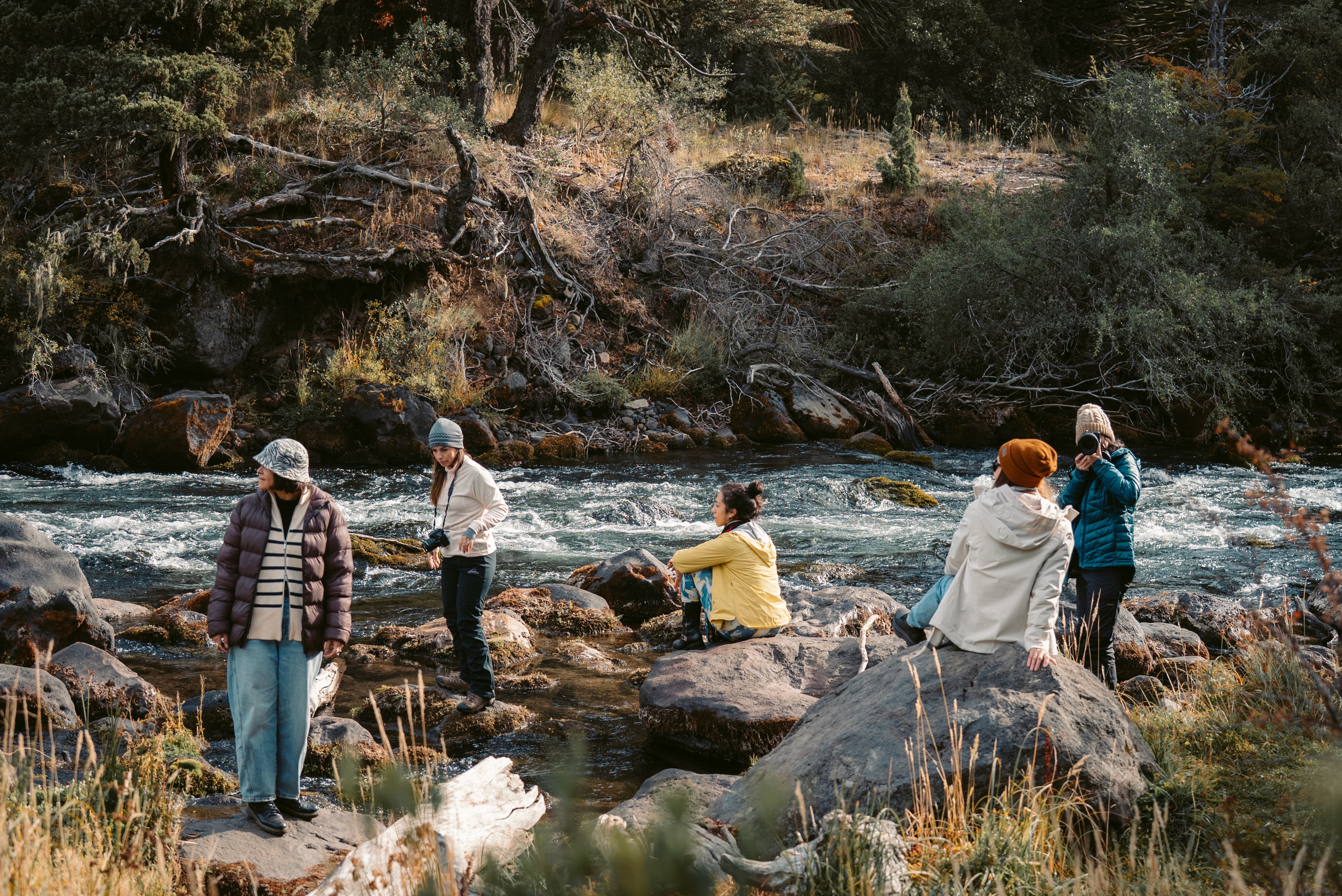 Here comest the alt text