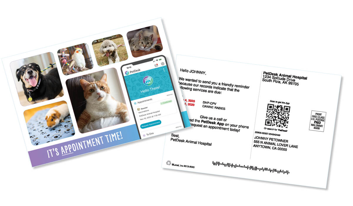 PetDesk Postcards 2022