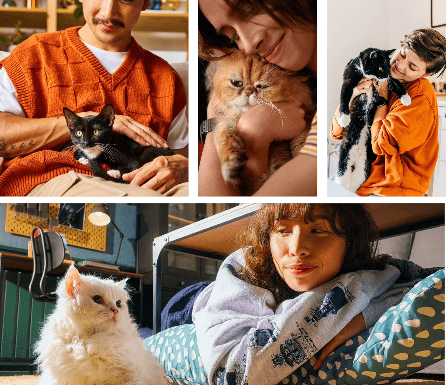 Lifestyle photography direction for cat wellness brand