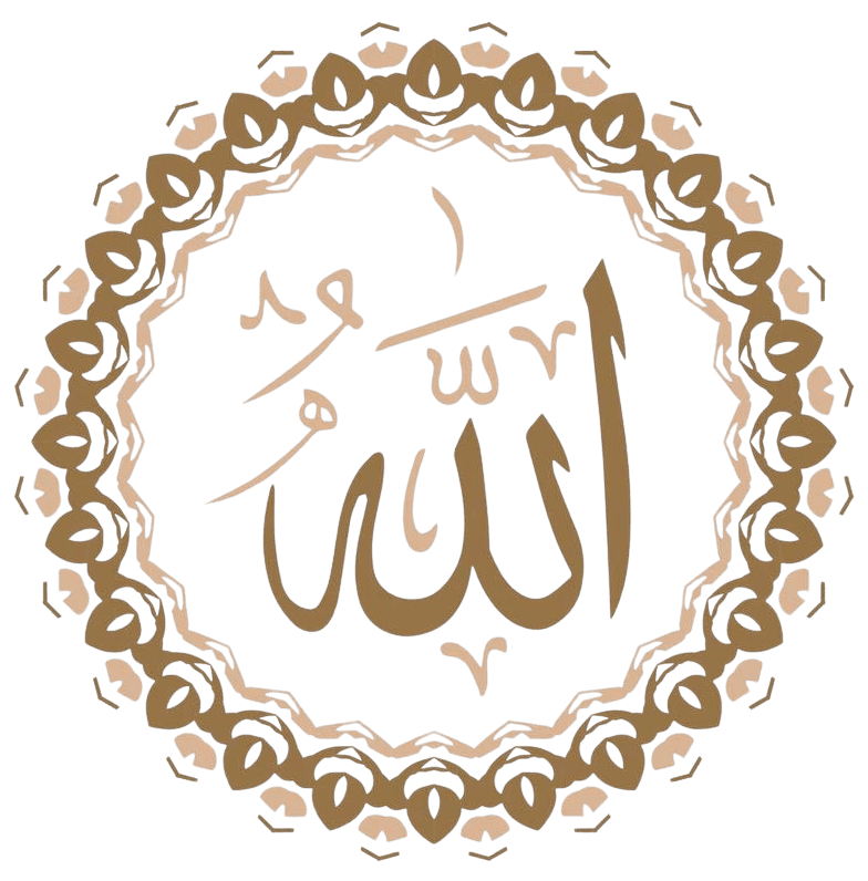 Goran Babarogic Product UX Designer