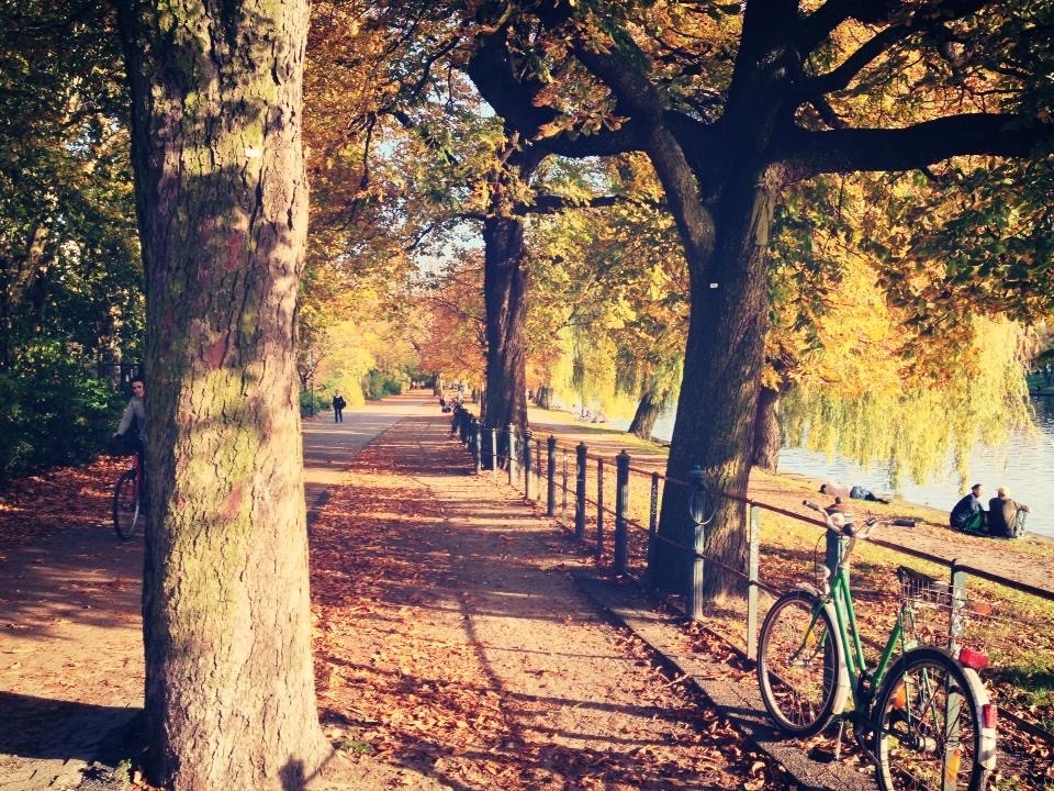 Scenic autumn pathway lined with tall trees shedding golden leaves, with a bicycle parked by a fence and a calm river in the background.